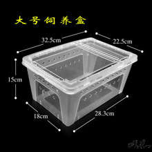 蜗牛养殖蜗牛盒子宠物饲养箱白玉蜗牛小中大号养殖盒爬虫爬宠