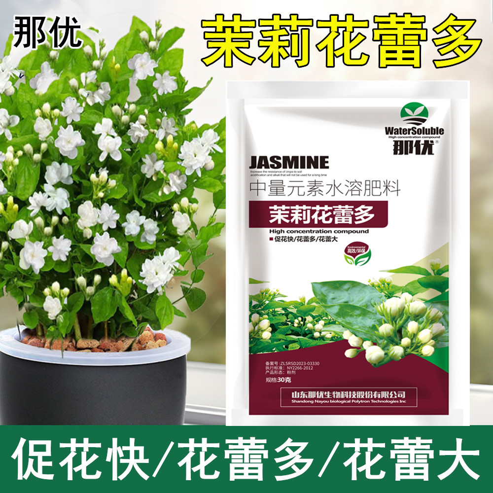 茉莉花蕾多 垂丝双色茉莉花多多专用水溶肥料花大色匀开花 叶面肥