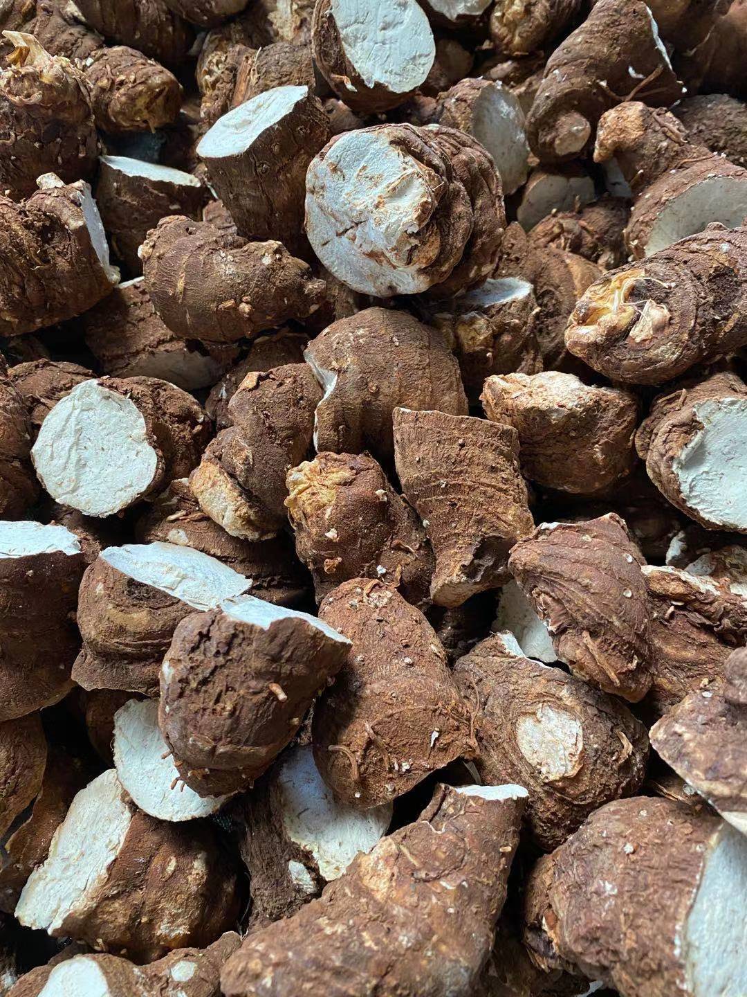 精挑重楼粉质重楼选货滇重楼七叶一枝花粉重楼高杆重楼滇重楼