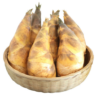 带箱5斤包邮 夏季竹笋新鲜脆甜笋春笋手剥笋现挖鲜竹笋马蹄笋竹笋