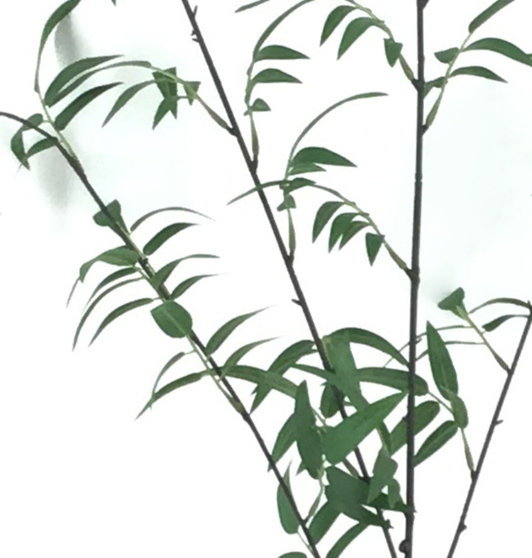 仿真竹叶单支仿真树叶假竹子枝单支竹子装饰假树叶插花花艺配件