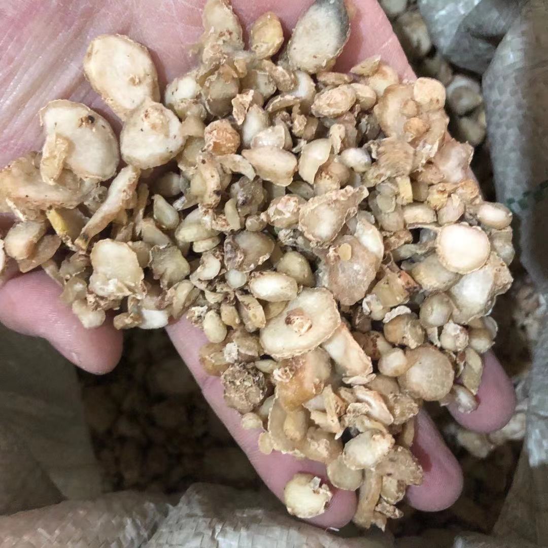 批发中药材 姜水半夏 姜制水半夏 姜炙水半夏