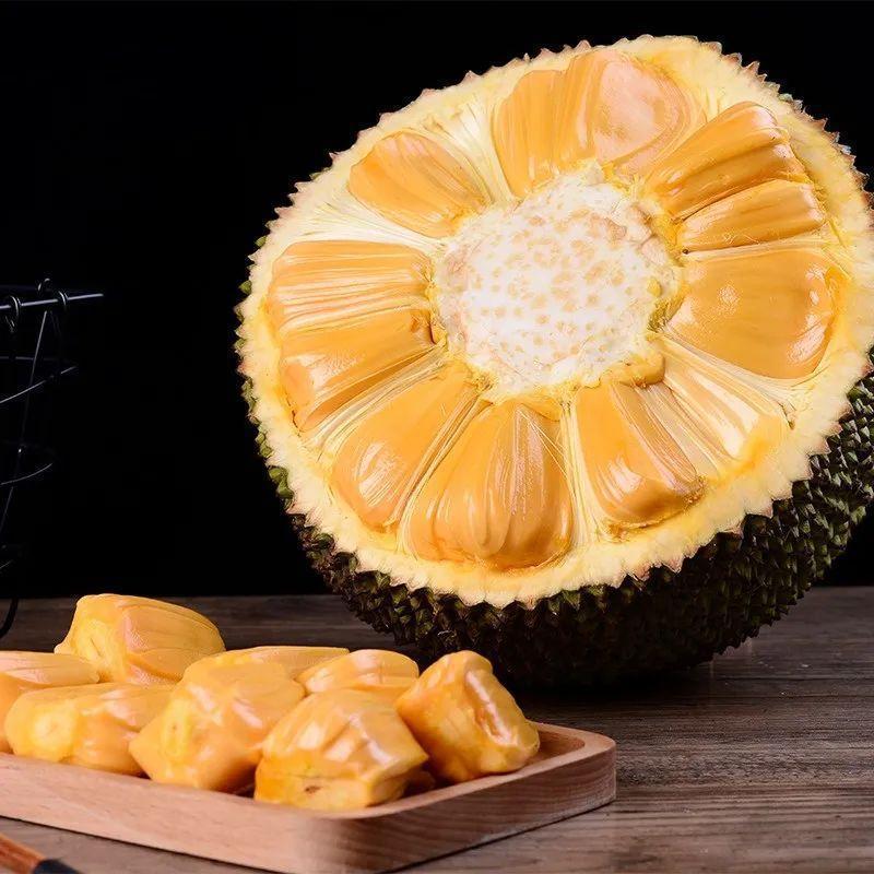 越南进口红肉菠萝蜜一整个特价红心超甜木菠萝应当季新鲜水果批发