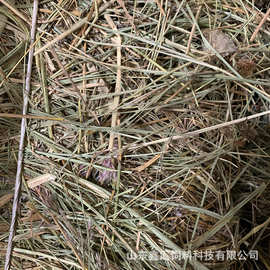 加工定制羊草捆 碱草包羊草料牛马场羊草饲料牧草捆现货批发 草料