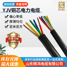 YJV1.5 2.5 4 6 10 16平方铜芯电缆工厂定制各种型号规格阻燃耐火