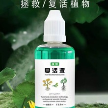 通用型植物花卉复活液针对光杆植物发黄掉叶生长素快速增强活性