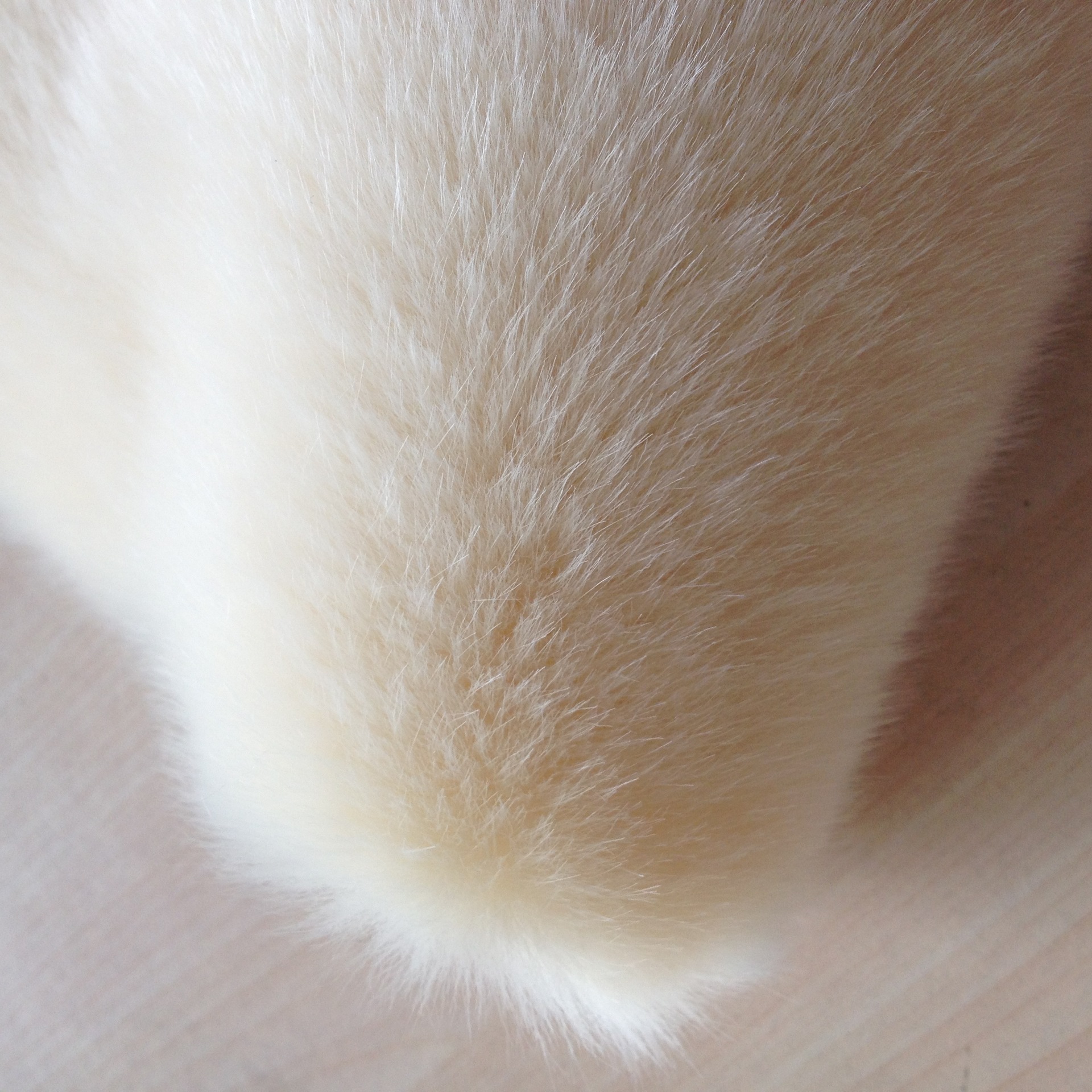 新款现货毛绒块供应白色仿兔毛服装用料仿真皮草长毛绒毛领辅料毛