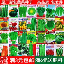 四季蔬菜种子菜园阳台盆栽西红柿黄瓜辣椒豆角瓜果菜种籽种孑大全
