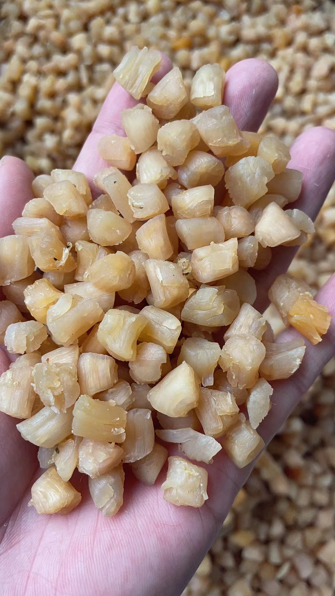 干贝700头左右一斤 一件30斤-阿里巴巴