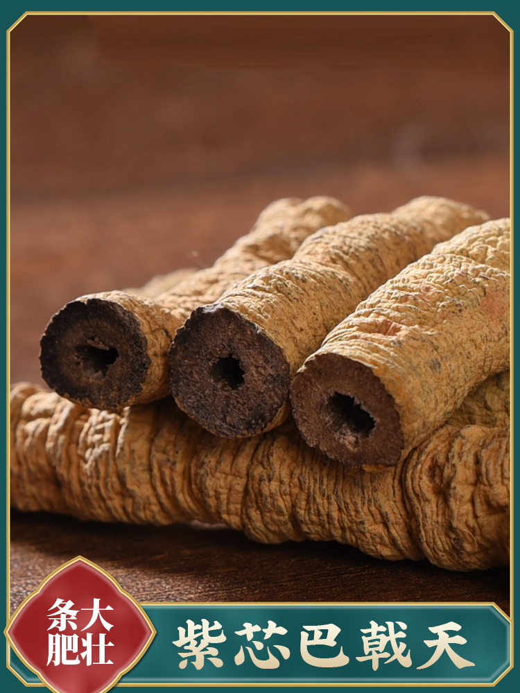 粗条新鲜巴戟天500g男性泡茶泡水搭配杜仲韭菜籽牛大力巴戟天