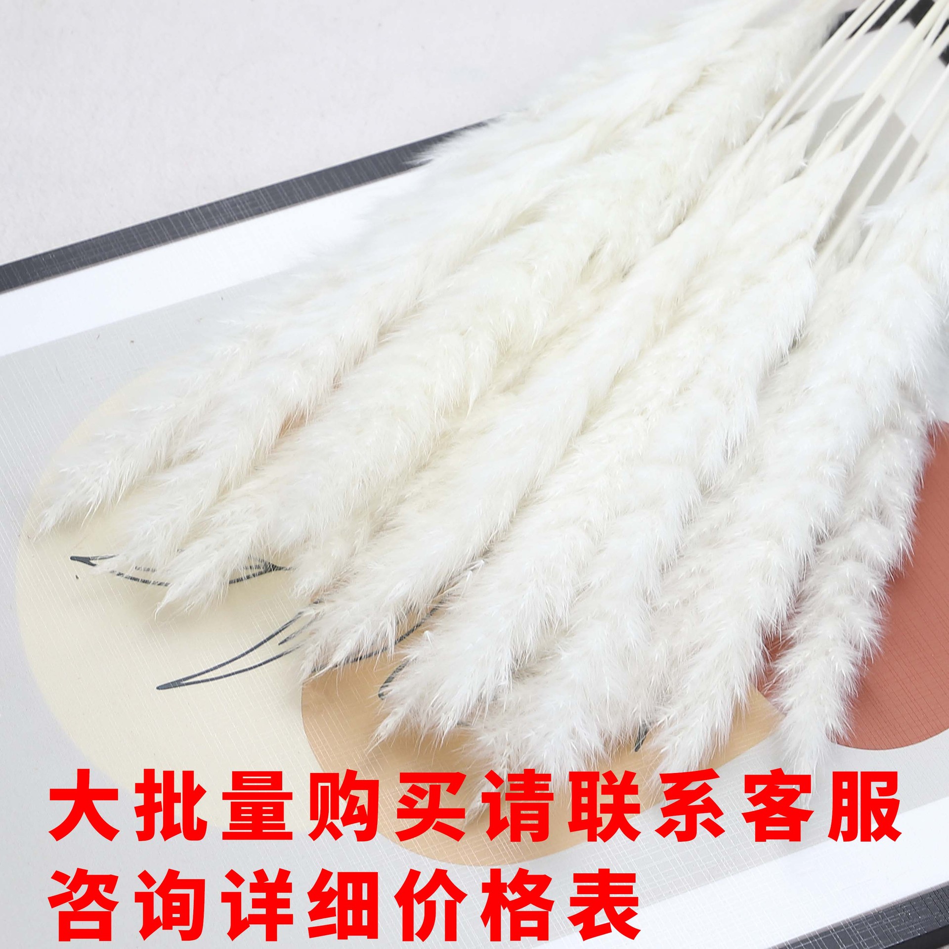 云南干花小芦苇干花家居花束亚马逊潘帕斯草跨境家居装饰组合装干