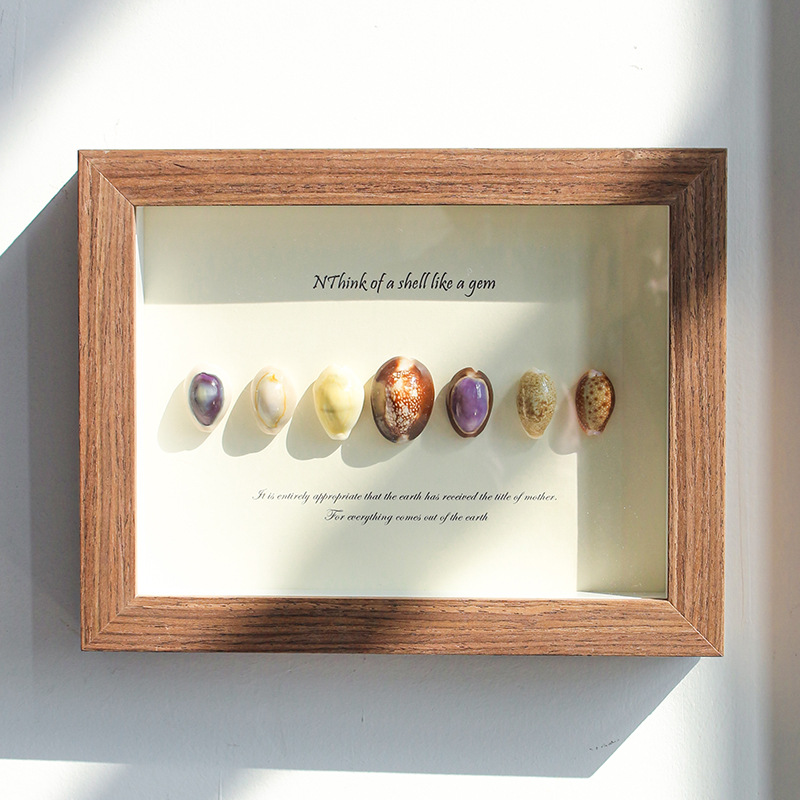 贝壳海螺手工diy天然工艺品摆件饰品纪念品罕见迷你大海螺装饰画