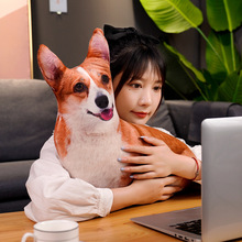 创意3D仿真狗狗抱枕可拆洗跨境毛绒玩具沙发床头靠垫