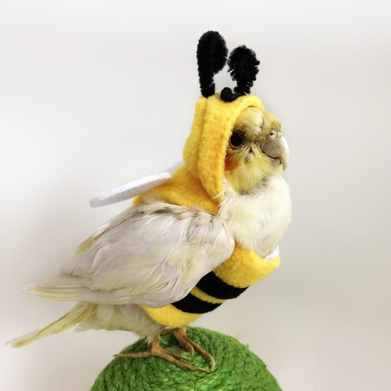 小玄凤鹦鹉-新款价格,厂家,货源-阿里巴巴