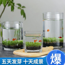 生态瓶桌面微景缸水草缸水培缸创意居家水草泥种子籽造景鱼缸