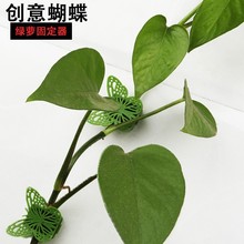 新款创意蝴蝶固定器 绿萝固定器 植物爬墙器 理线器 叶子固定器