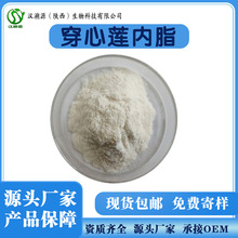 穿心莲内脂98% 穿心莲叶提取物 优选原料粉 现货包邮100g/袋