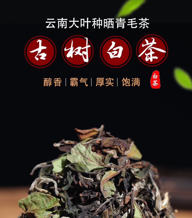 自产自销云南大叶种古树白茶早春景谷月光白高山大叶种白茶批发