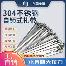 304不锈钢扎带19*500自锁式户外捆绑带船用卡扣大缎带扎带固定束