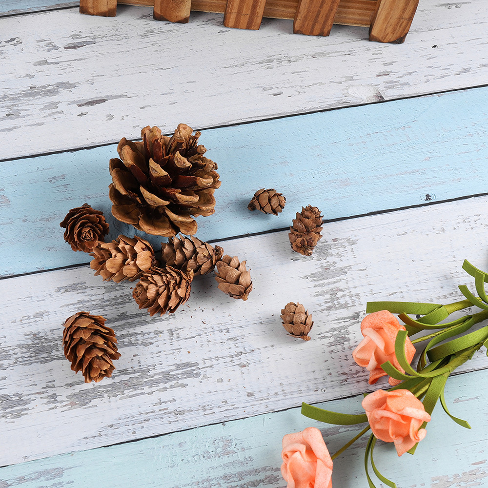 圣诞装饰品挂件 小落叶松花 迷你松果 松球拍摄拍照装饰道具 批发