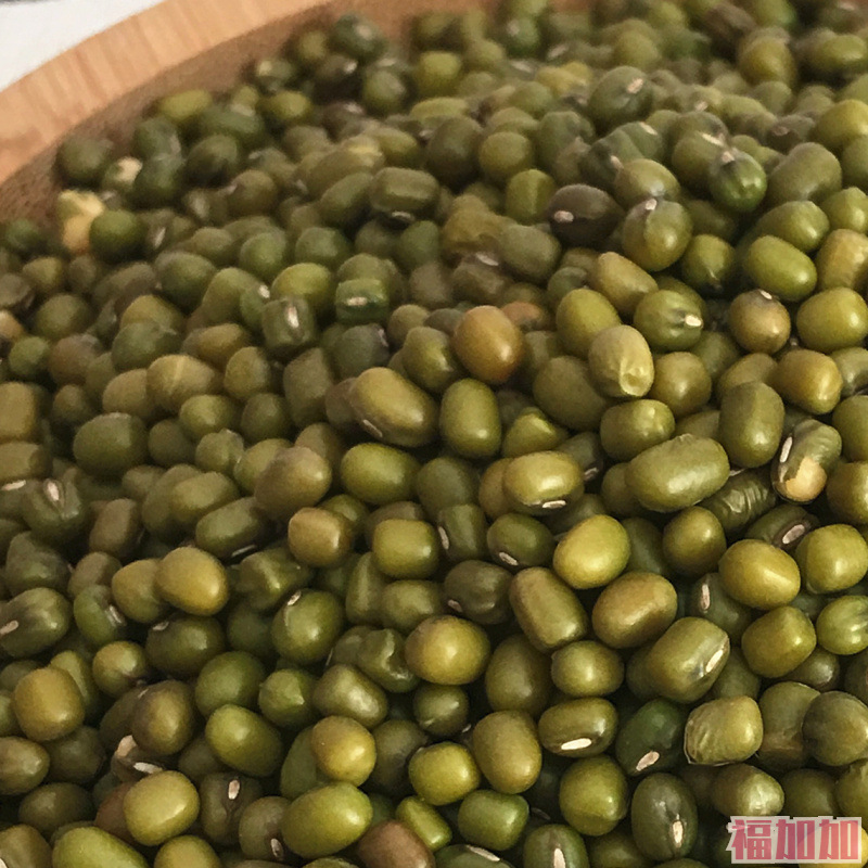 绿豆新豆子熬绿豆粥汤原料大明绿豆1高原农家新货家用商用5斤