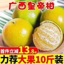 广西皇帝柑大果新鲜水果9斤包邮整箱蜜桔橘子贡柑砂糖桔子10