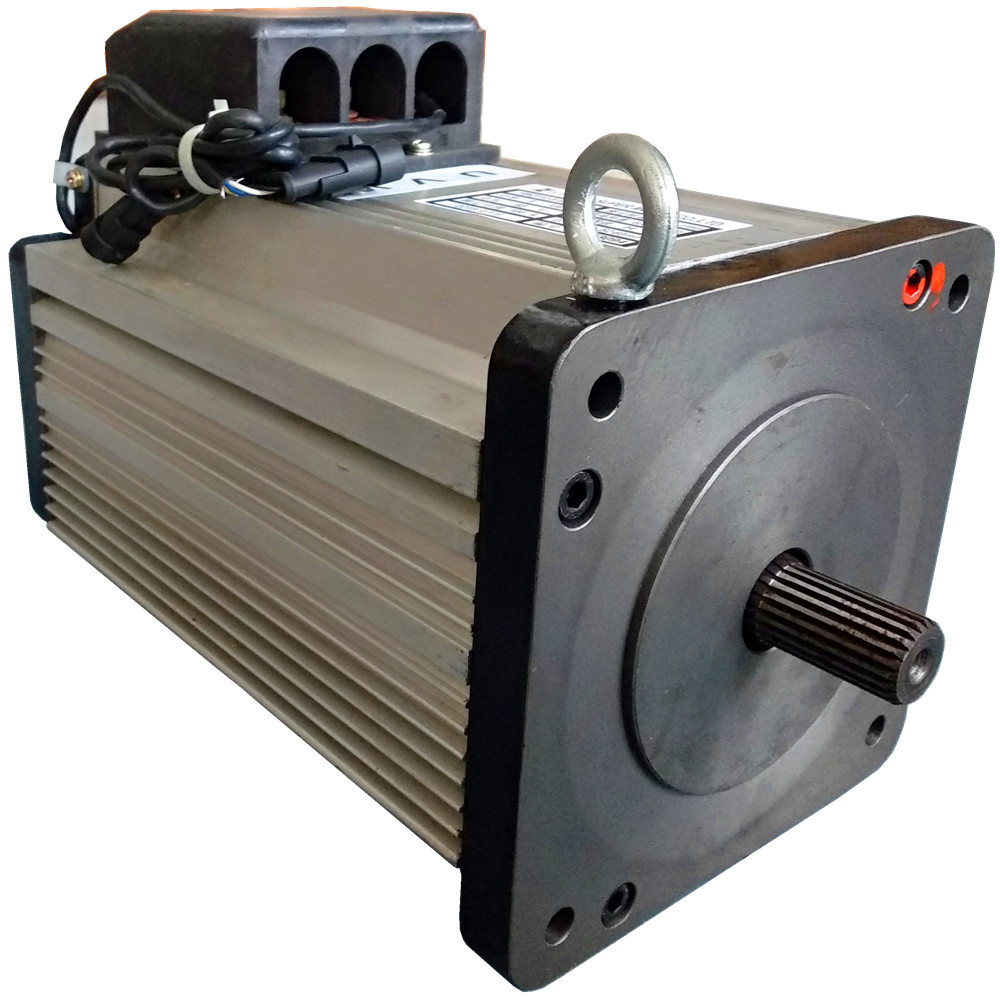 电动观光车电机