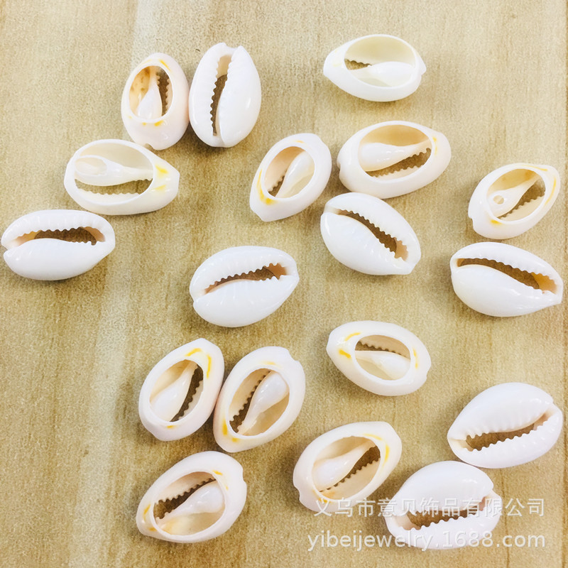 Natural Conch Color-Changing Sliced Golden Edge Shell Bracelet Necklace Ornament Ornament Accessories DIY Clothing Shoes and Hats Material