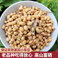 2023新豆黄豆老品种恩施富硒黄豆3斤打豆浆专用农家自种笨土黄豆