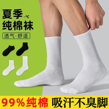 常规款1棉质袜子男士夏季薄款中筒情侣女白色袜长筒运动男生短袜