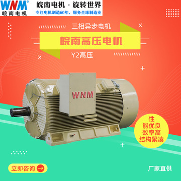 皖南电机y2高压电动机高效三相异步15kw18kw22kw30kw37kw全铜线圈