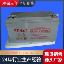 西力12v65ah SEHEY蓄电池NPG65-12厂家报价