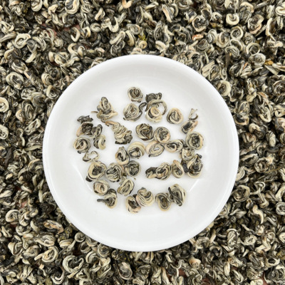 厂家批发2022广西横县茉莉花茶浓香型茉莉白玉螺特级玉螺王