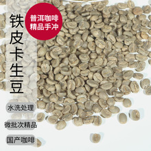 普洱咖啡 老品种铁皮卡 咖啡生豆 2024当季 阿拉比卡 生豆批发