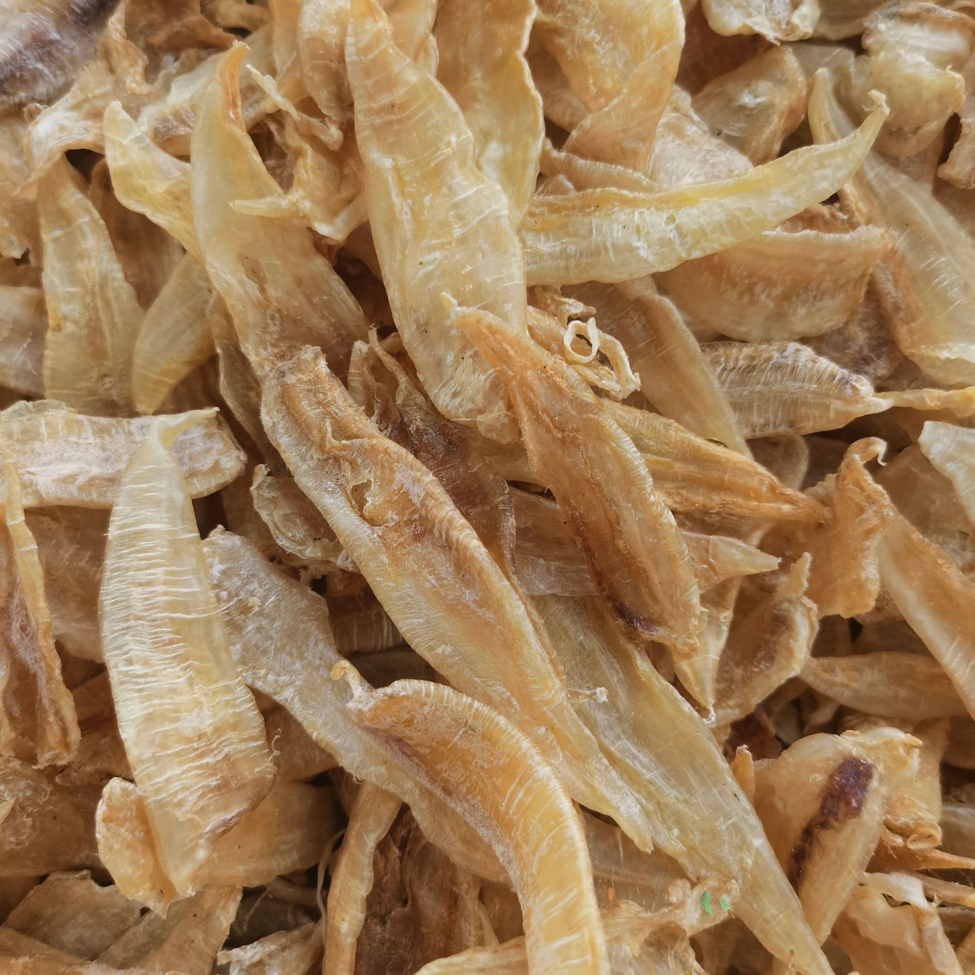 众珍元小金龙胶金龙鱼胶花胶 鱼鳔水产干货一件代发批发