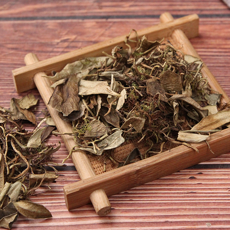 沪御堂抱石莲 瓜子金 瓜子菜 石瓜子 鱼鳖金星