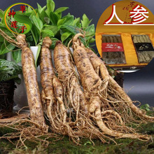 长白山中国大陆无糖红参散装足干东北特产干参特级整支红人参包邮