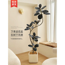 绿植仿真橡皮树高端轻奢室内氛围树装饰大摆件客厅高级仿生假植物