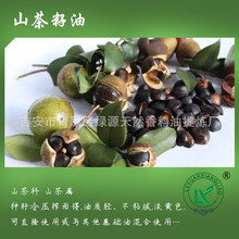 精炼山茶油 山茶籽油茶花籽油 油茶籽油养肤芳疗精油Camellia oil