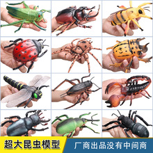 仿真昆虫玩具模型大号瓢虫蜻蜓蟋蟀螳螂蜘蛛蜜蜂儿童科教认知礼物