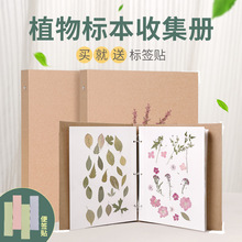 儿童植物标本收集册树叶干花标本册活页卡册覆膜DIY相册四叶草叶