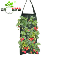 森景PE吊式草莓种植袋植物袋挂式美植袋植物成长袋生长包营养花盆