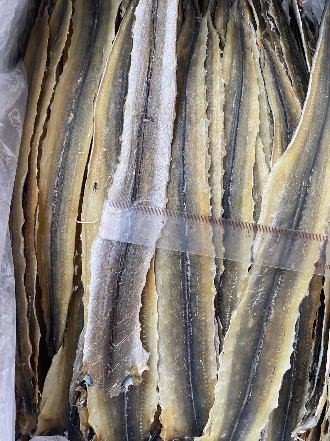 北海特产烧烤鳗鱼干手撕鳗鱼干芥末马步鱼干鳗鱼片500克海鲜批发