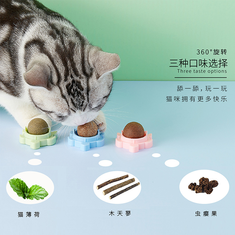 Turtle Catnip Rotating Ball Cat Happy Interaction Cat Toy Insect Gall Fruit Polygonum Multiflorum Toy Ball