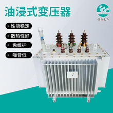 加工定制变压器 630kva800kvaa型号 10kv油浸式变压器