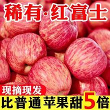 【爆甜】正宗山东烟台红富士苹果新鲜脆甜水果冰糖心苹果整箱批发