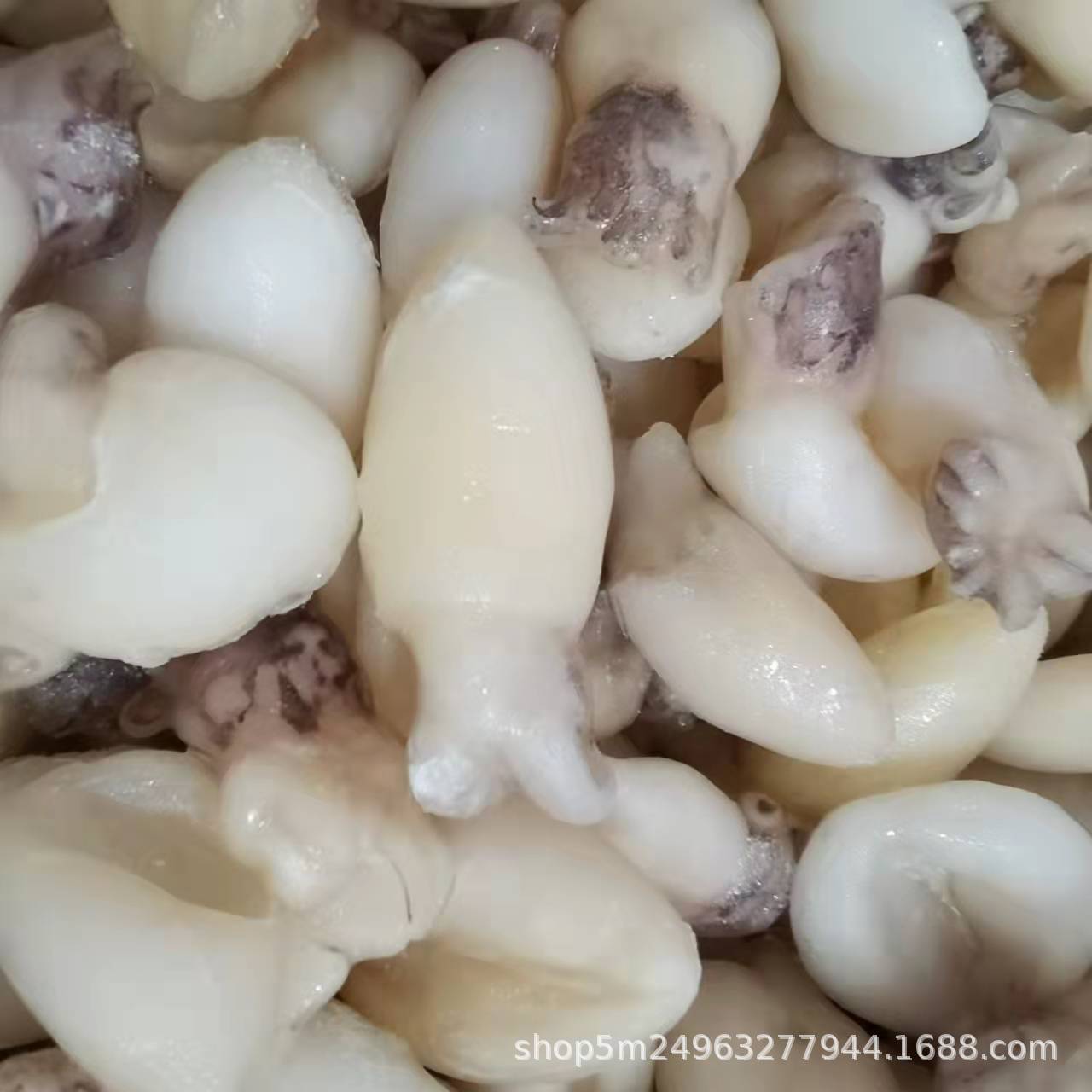 批发新鲜冷冻墨鱼仔鱿鱼 火锅自助餐食材超市海鲜小目鱼仔乌贼冷