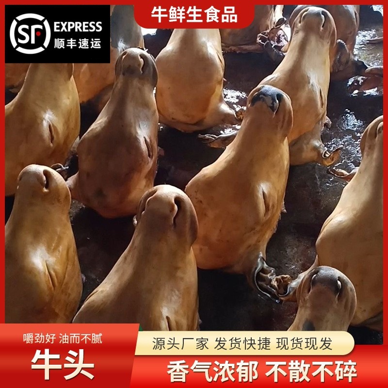 牛头牛头宴专用可带牛舌带皮火烧毛牛头批发正宗可劈半冷链发货