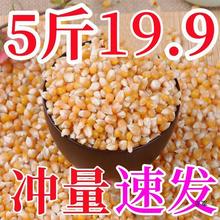 爆裂玉米5斤爆米花碟形小玉米 爆花玉米玉米粒原料2500g包邮