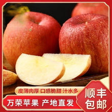 【顺丰包邮】新鲜山西万荣脆甜红富士丑苹果一整箱当季水果礼盒装